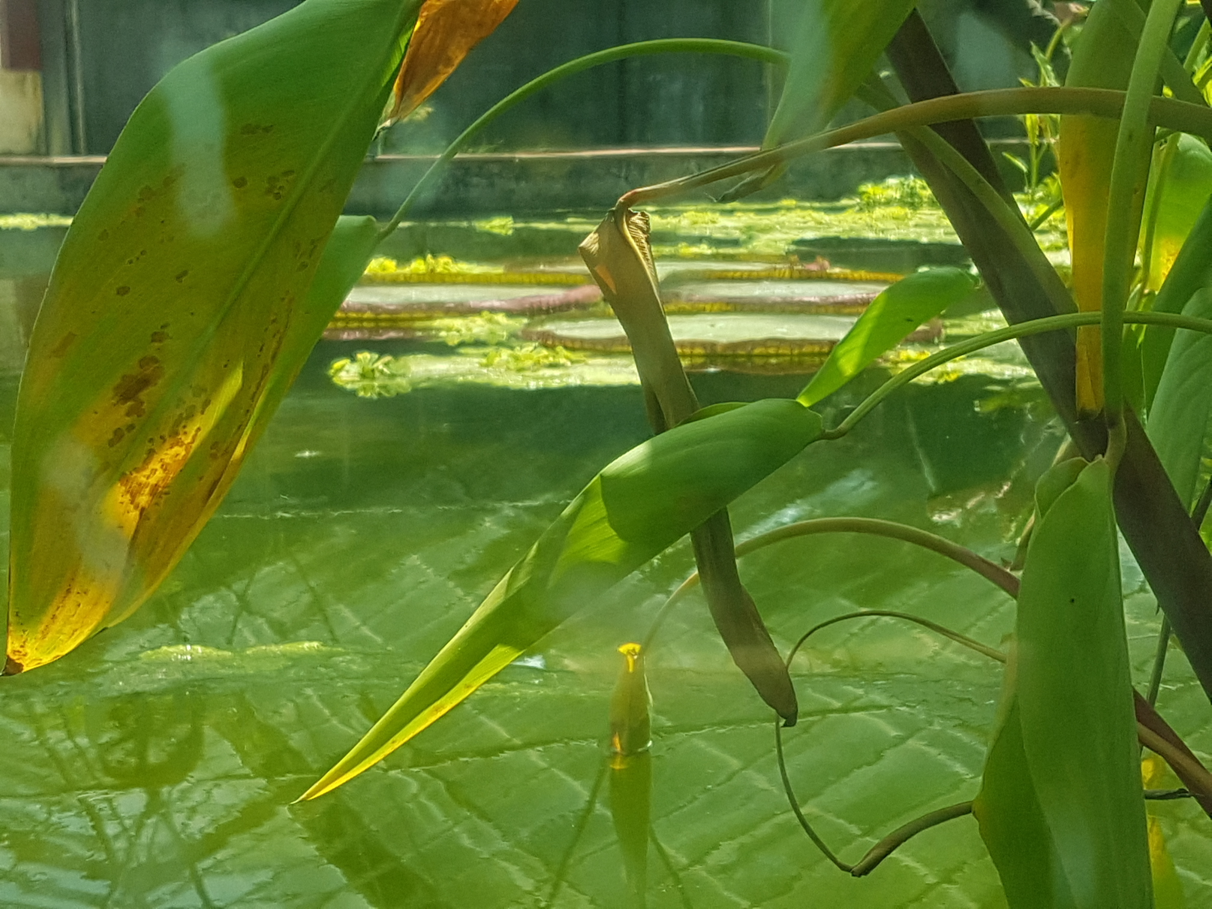 Photo n° 2 de l'avis de amon.o fait le 19/06/2022 à 12:03