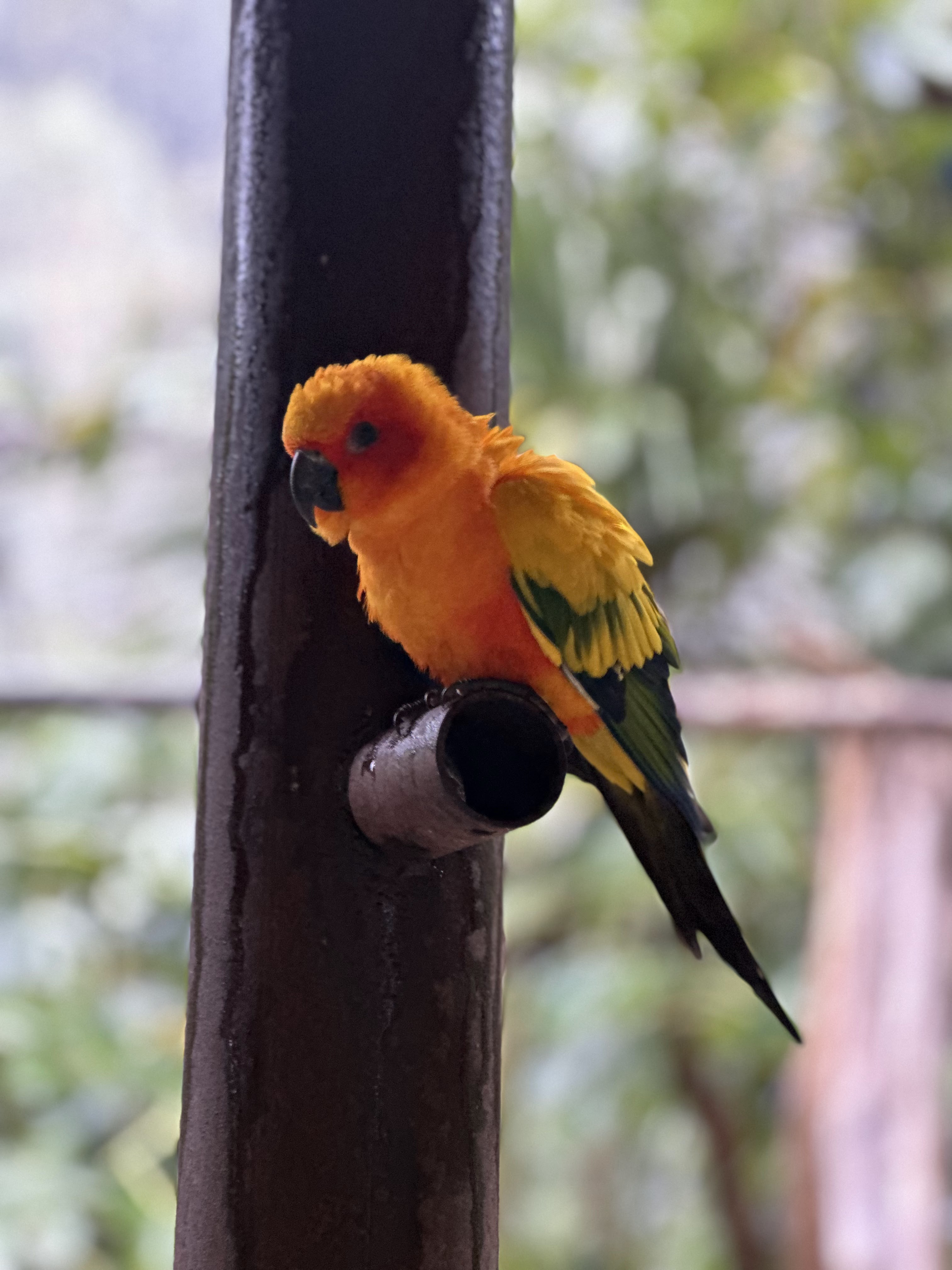 Photo n° 2 de l'avis de Vincent.e fait le 04/11/2023 à 07:14