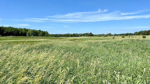 Golf Course «Tanners Brook Golf Course», reviews and photos, 5810 190th St N, Forest Lake, MN 55025, USA