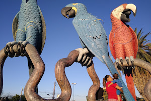 Praça das Araras image