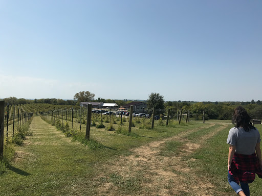 Winery «Fence Stile Vineyards & Winery», reviews and photos, 31010 W 124th St, Excelsior Springs, MO 64024, USA