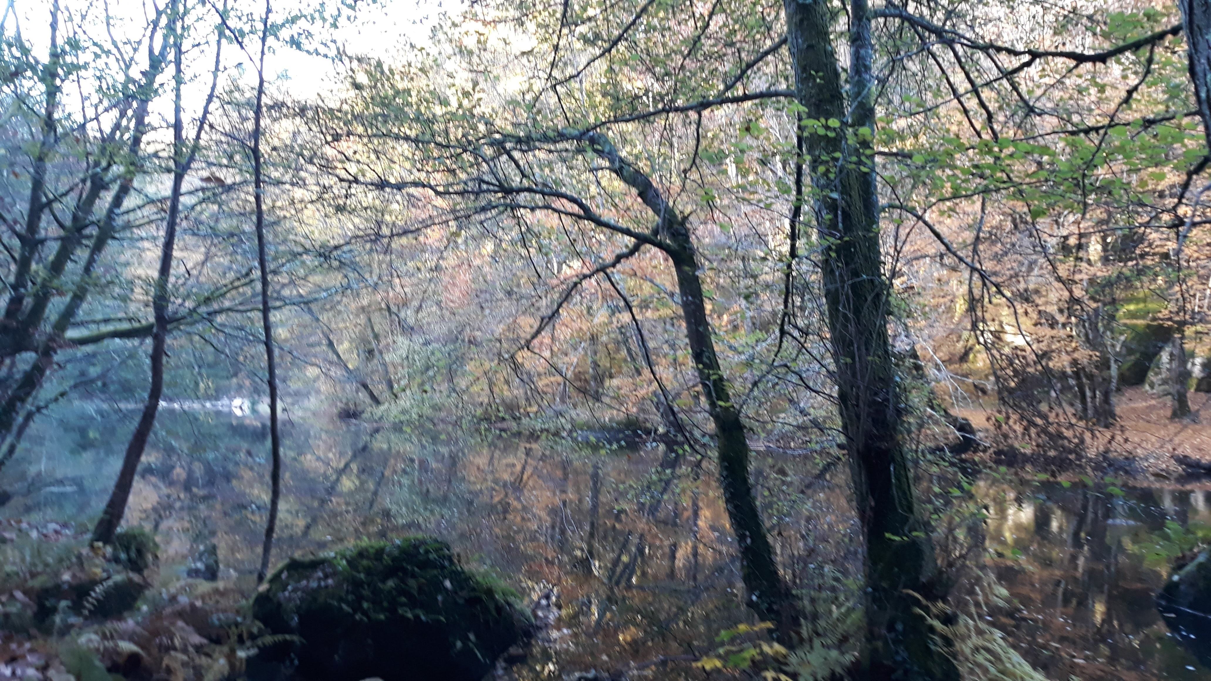 Photo n° 3 de l'avis de Sophie.E fait le 27/12/2018 à 17:56
