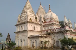 Narsingh Mandir Temple image
