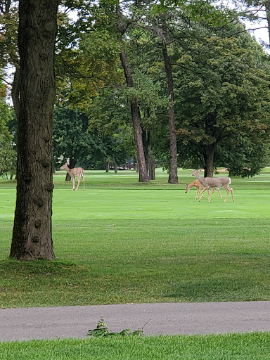 Golf Course «Tam Golf Course», reviews and photos, 6700 Howard St, Niles, IL 60714, USA