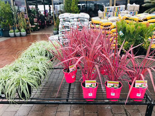 Plants stores Adelaide