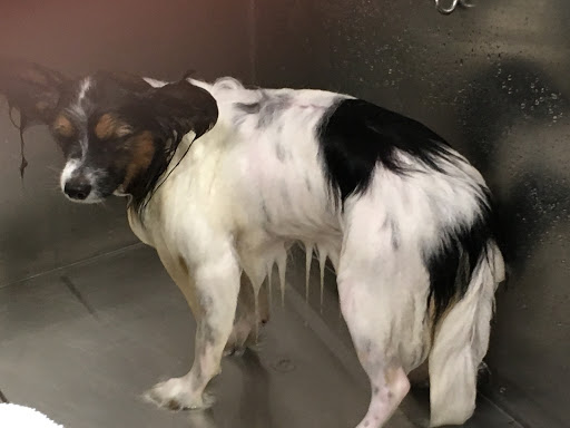 Pet Supply Store «Lemos Feed & Pet Supply», reviews and photos, 1320 Main St, Morro Bay, CA 93442, USA