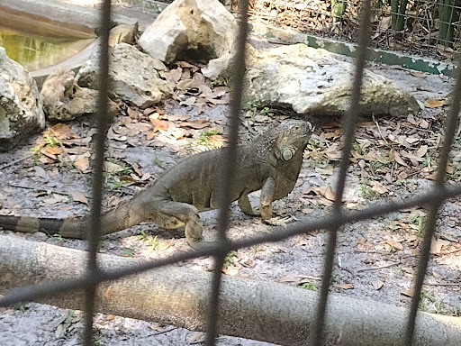 Tourist Attraction «Reptile World Serpentarium», reviews and photos, 5705 E Irlo Bronson Memorial Hwy, St Cloud, FL 34771, USA