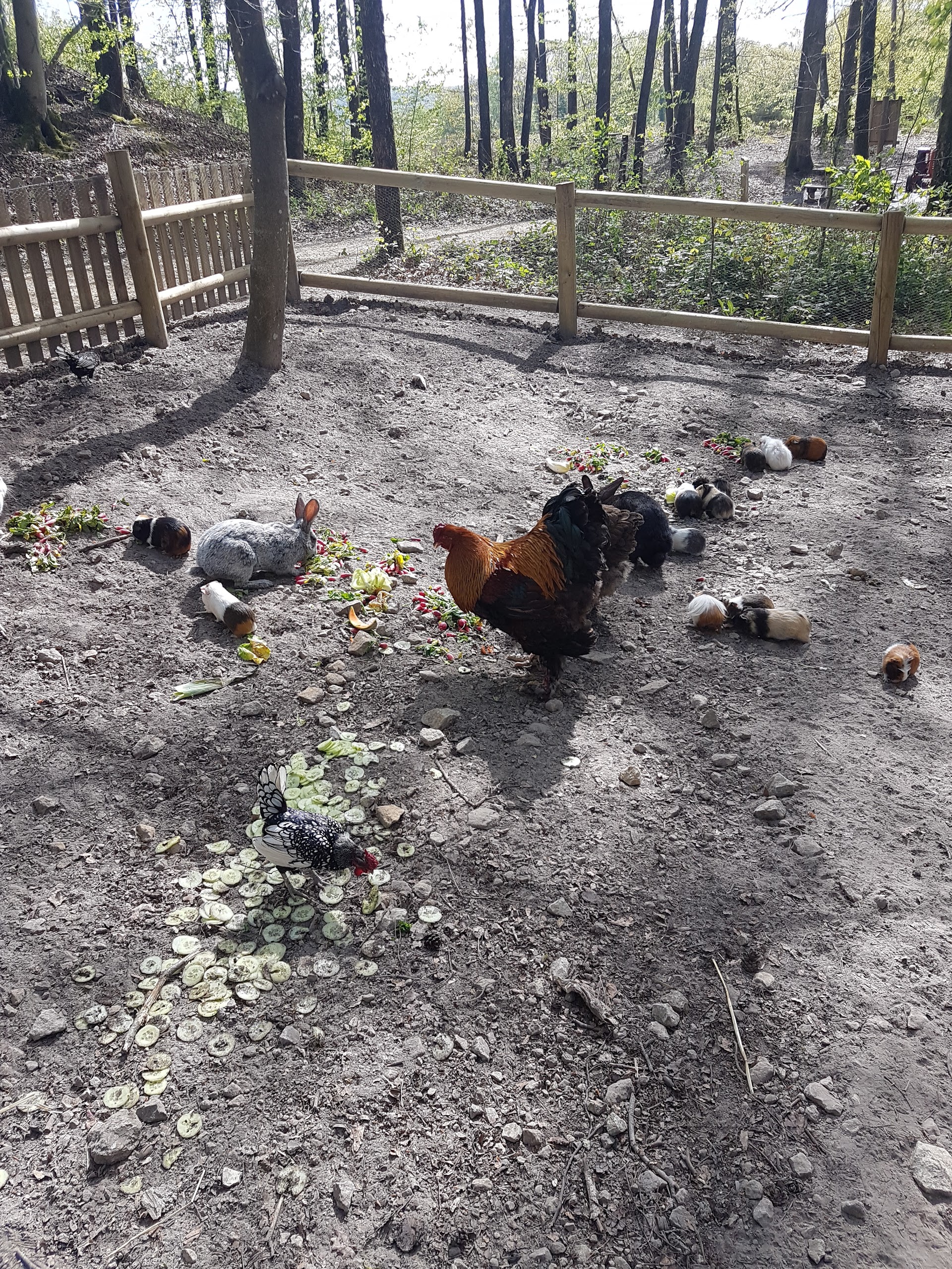 Photo n° 13 de l'avis de Christian. fait le 01/05/2017 à 07:48