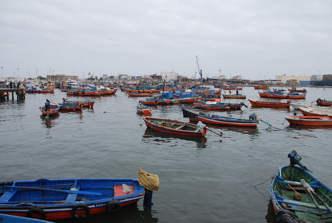 Opiniones de ITI Iquique Terminal Internacional S.A. en Iquique - Oficina de empresa