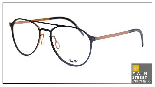 Optometrist «Main Street Optometry - Vision Source», reviews and photos, 1245 E M36, Pinckney, MI 48169, USA