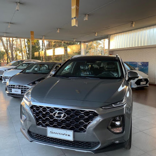 Opiniones de Hyundai Punta del Este en Maldonado - Concesionario de automóviles