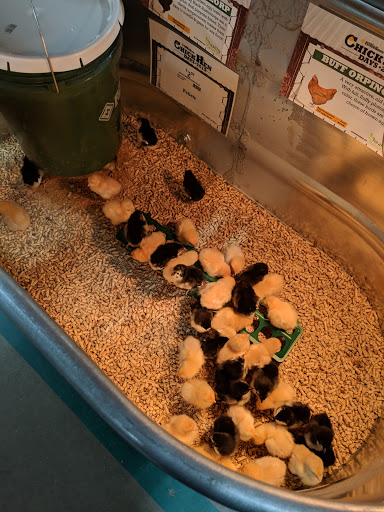 Home Improvement Store «The Home Depot», reviews and photos, 2075 Pipestone Rd, Benton Harbor, MI 49022, USA