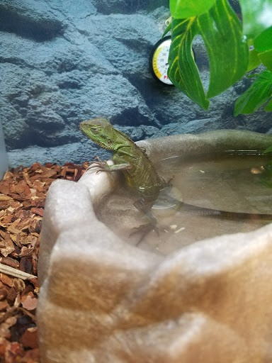 Pet Supply Store «Petco Animal Supplies», reviews and photos, 1255 Raritan Rd #140, Clark, NJ 07066, USA