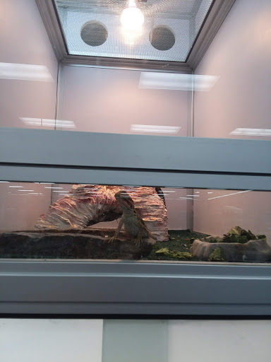 Pet Supply Store «Pet Supermarket», reviews and photos, 4100 N Wickham Rd #117, Melbourne, FL 32935, USA