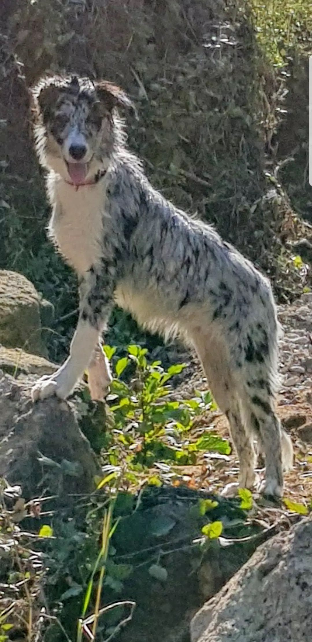 Photo n° 4 de l'avis de Ugo.e fait le 18/10/2018 à 09:15