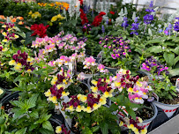 Escapes Landscape & Design Inc. - Photo 5 - Car repair in La Porte City, IA, Waterloo