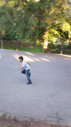 Park «Macon County Park», reviews and photos, 508 Days Rd, Lafayette, TN 37083, USA