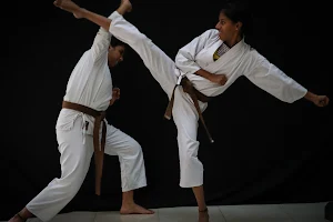 Bushido Karate Budokan, Plainsboro image