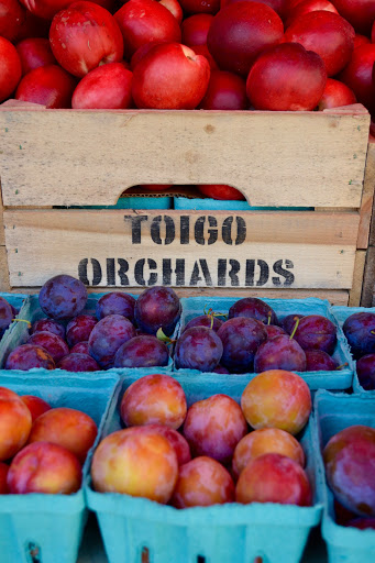 Ice Cream Shop «Nicecream», reviews and photos, 2831 Clarendon Blvd, Arlington, VA 22201, USA