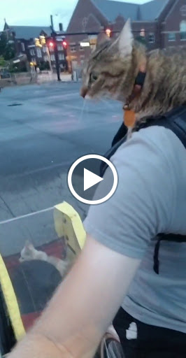 Bicycle Store «Swim, Bike & Run», reviews and photos, 153 E White St, Rock Hill, SC 29730, USA