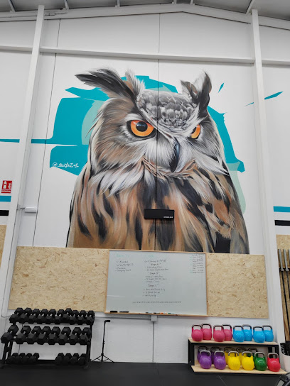 CROSSBOX OWL LOOK