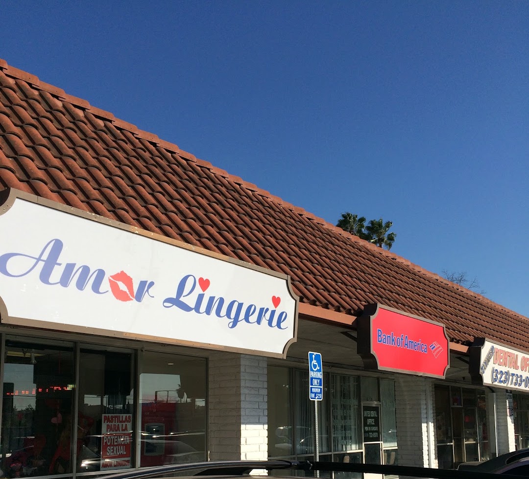 Amor Lingerie Sex Shop