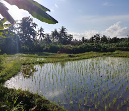 Kebune Bali Agrotourism photo