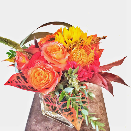 Florist «BEARDS FLORAL DESIGN», reviews and photos, 5424 E Central Ave, Wichita, KS 67208, USA