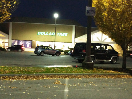 Dollar Store «Dollar Tree», reviews and photos, 906 E Yelm Ave, Yelm, WA 98597, USA