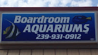 Boardroom Aquariums - Photo 3 - Car repair in Fort Myers, FL, Cape Coral
