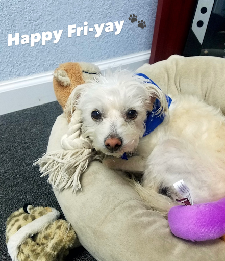 Insurance Agency «Farmers Insurance - Natalie Mercado», reviews and photos