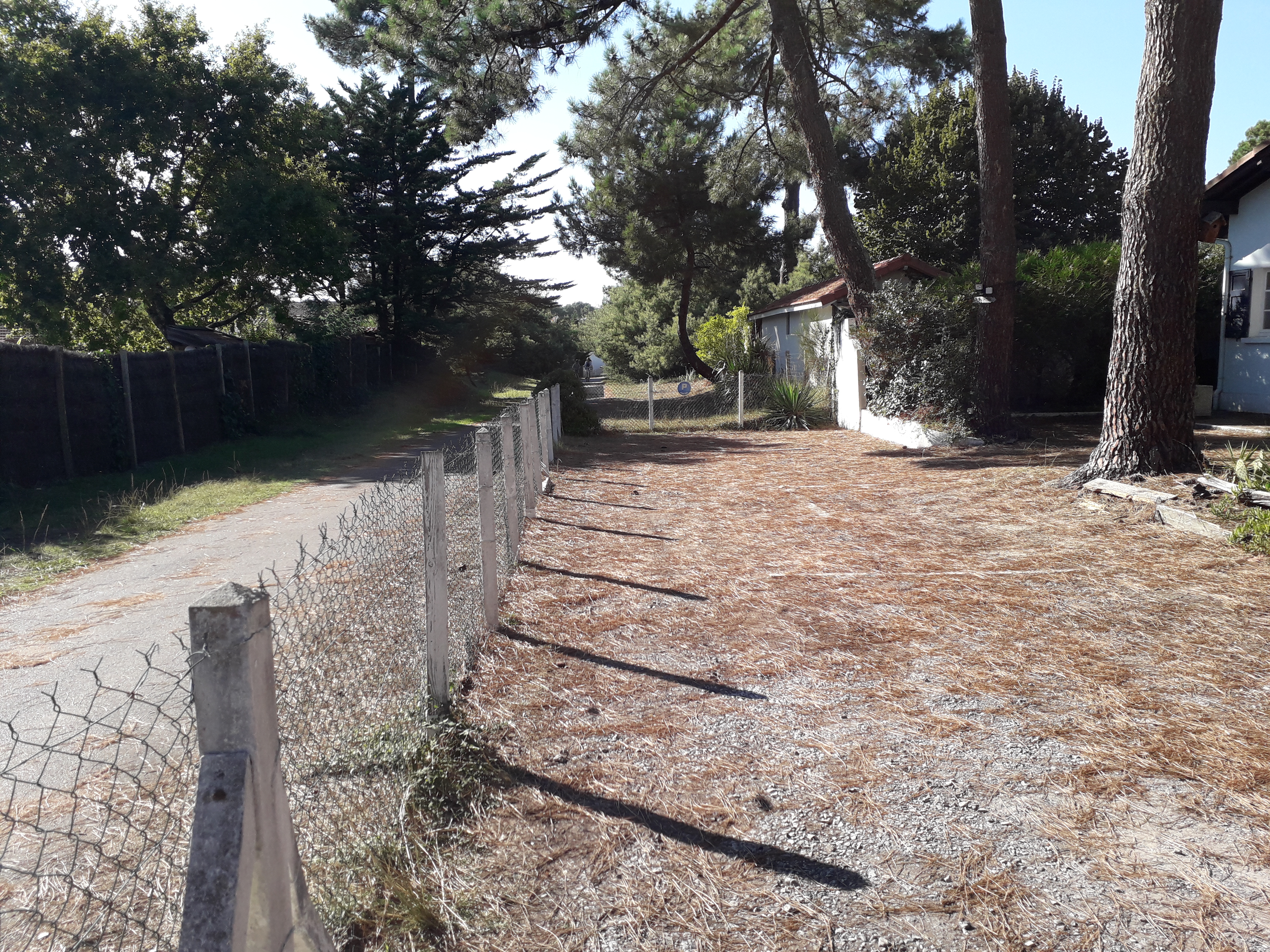 Photo n° 8 de l'avis de Brunetti-Freund. fait le 01/10/2018 à 07:56