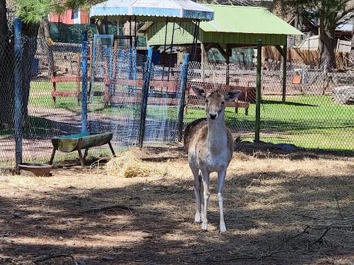Zoo «Bailiwick Animal Park and Riding Stables», reviews and photos, 118 Castle Rd, Catskill, NY 12414, USA