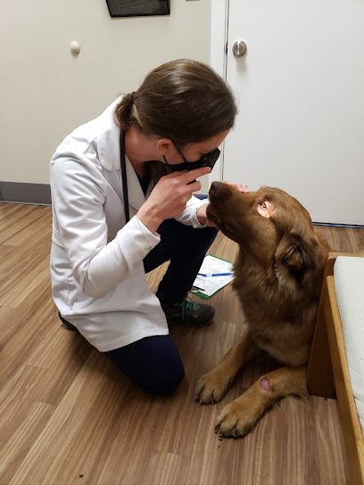 Poulsbo Animal Clinic