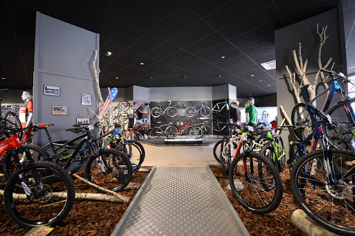 Vélos de MTB à vendre sur Lyon