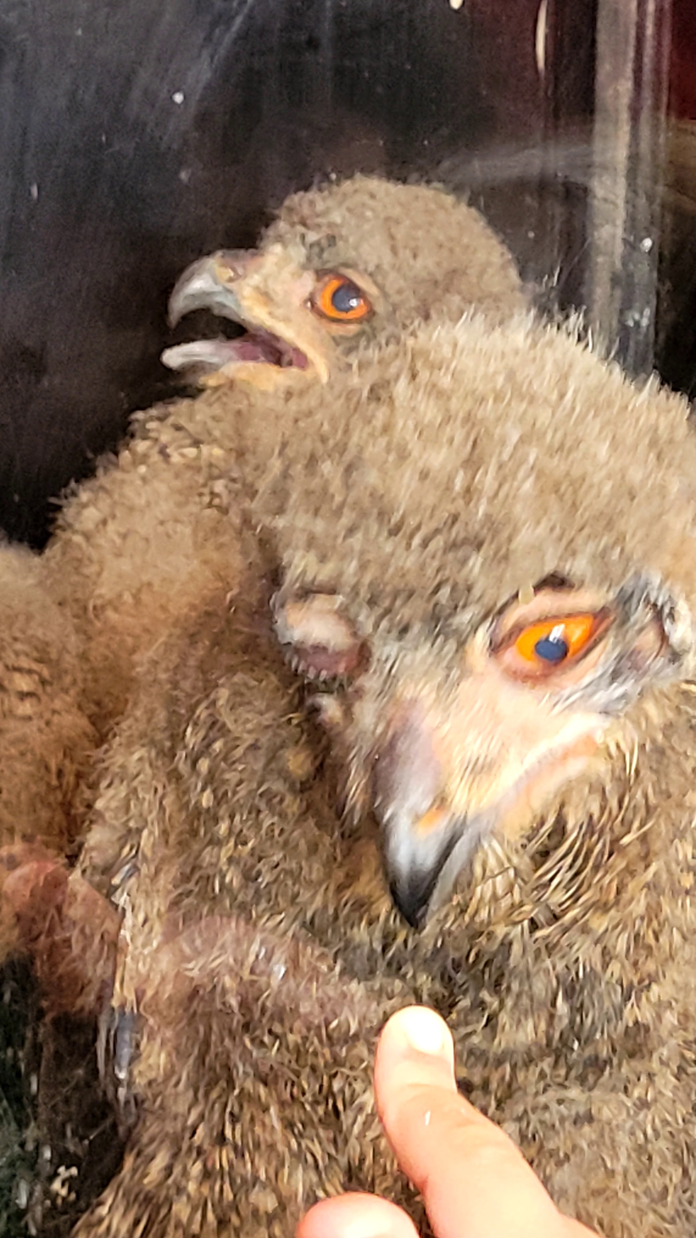 Photo n° 1 de l'avis de PASSIONS.O fait le 24/05/2023 à 09:56