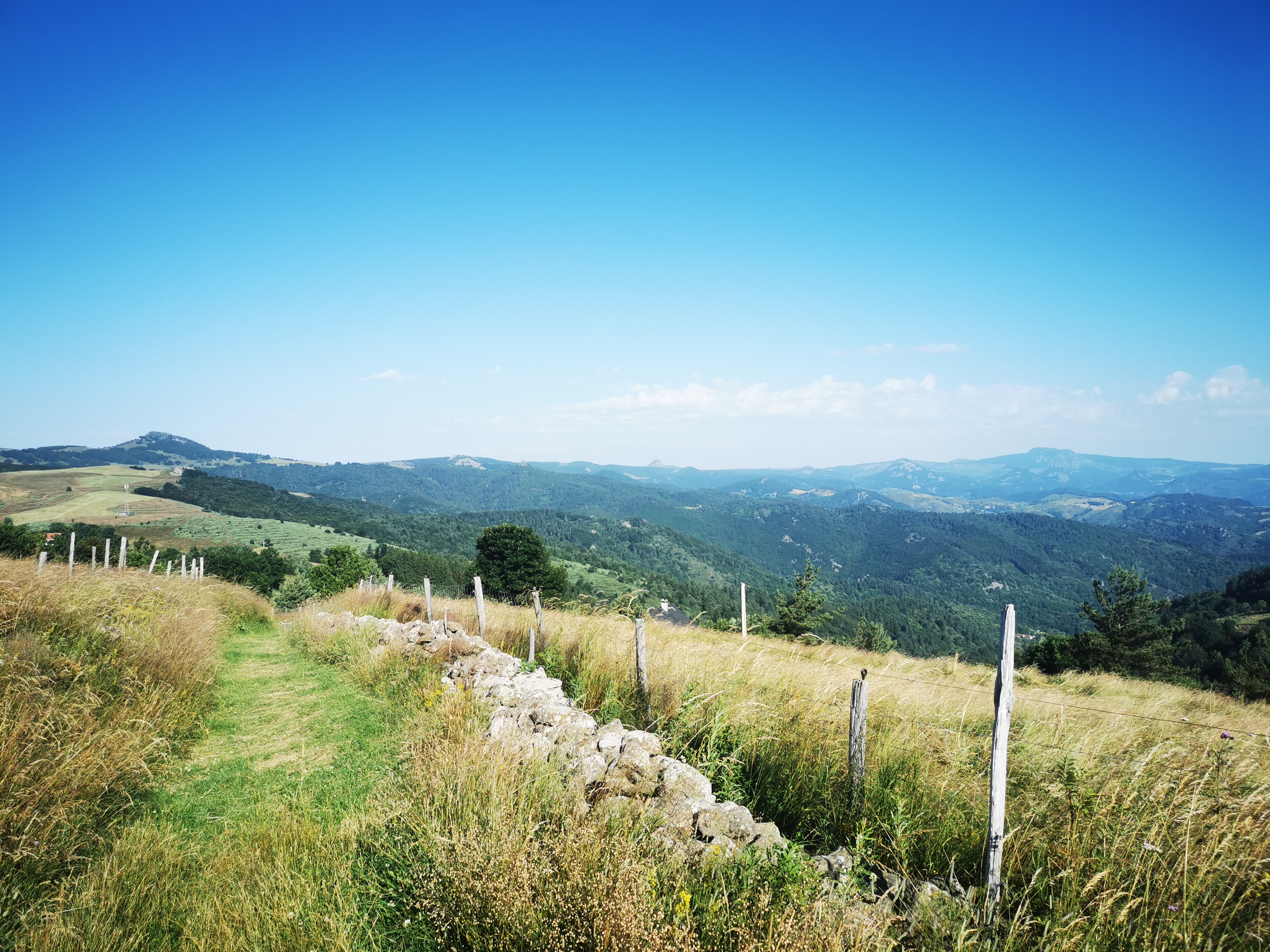 Photo n° 50 de l'avis de Seb. fait le 14/07/2023 à 04:55
