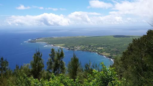 Drug Store «Walgreens», reviews and photos, 1215 16th St, Bedford, IN 47421, USA