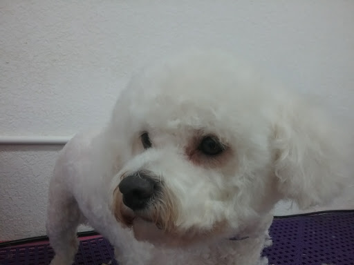 Pet Store «Andrews Green Ark Pet Store», reviews and photos, 925 3rd St, Crescent City, CA 95531, USA