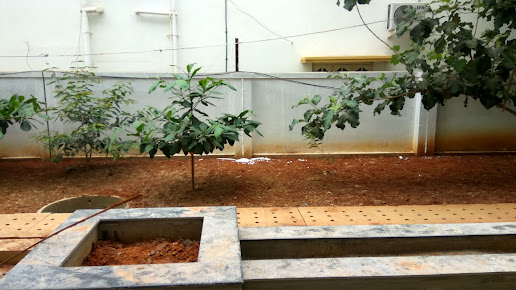 Google Maps image 18