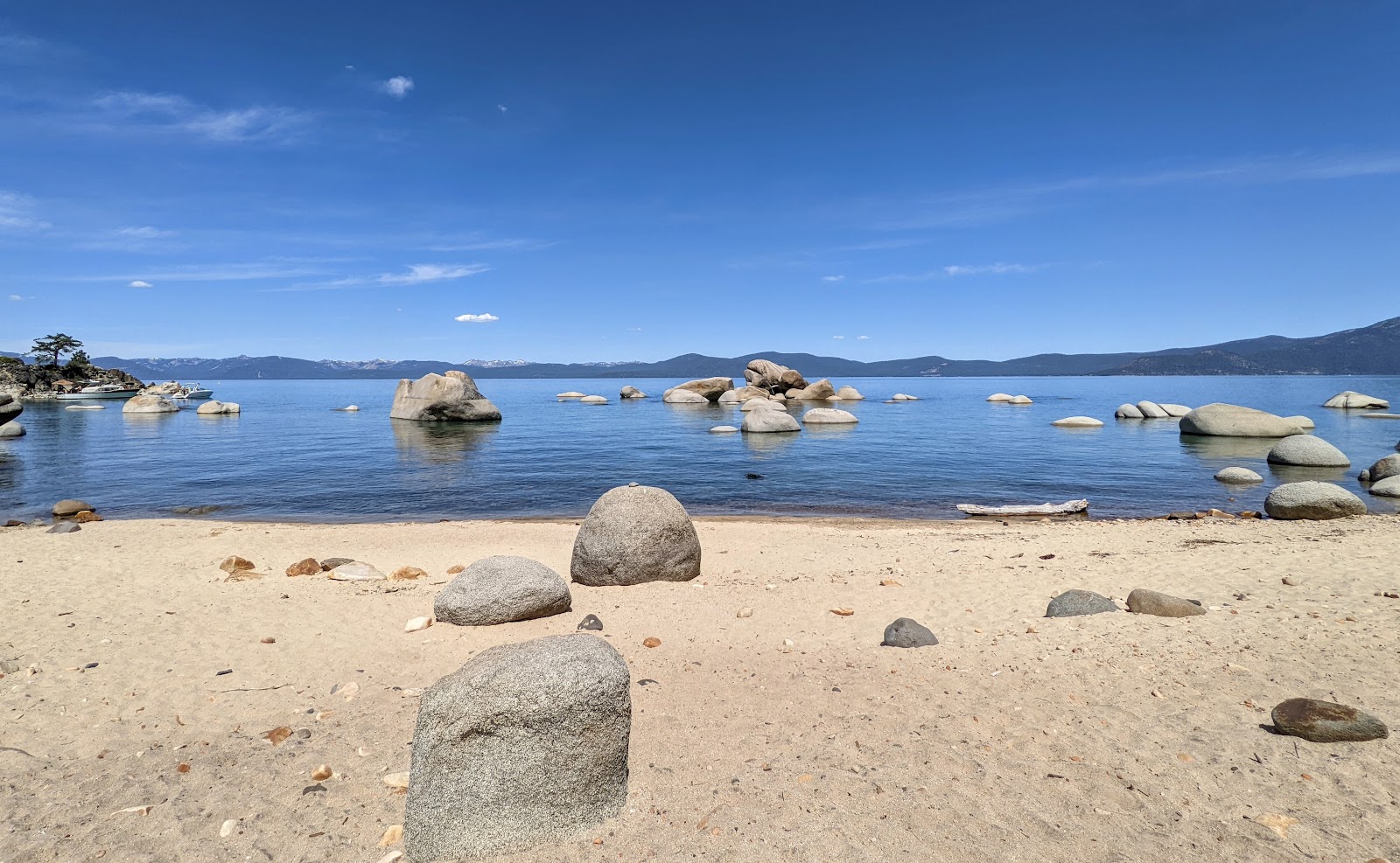 Whale Beach'in fotoğrafı geniş bir kıyı şeridi ile birlikte