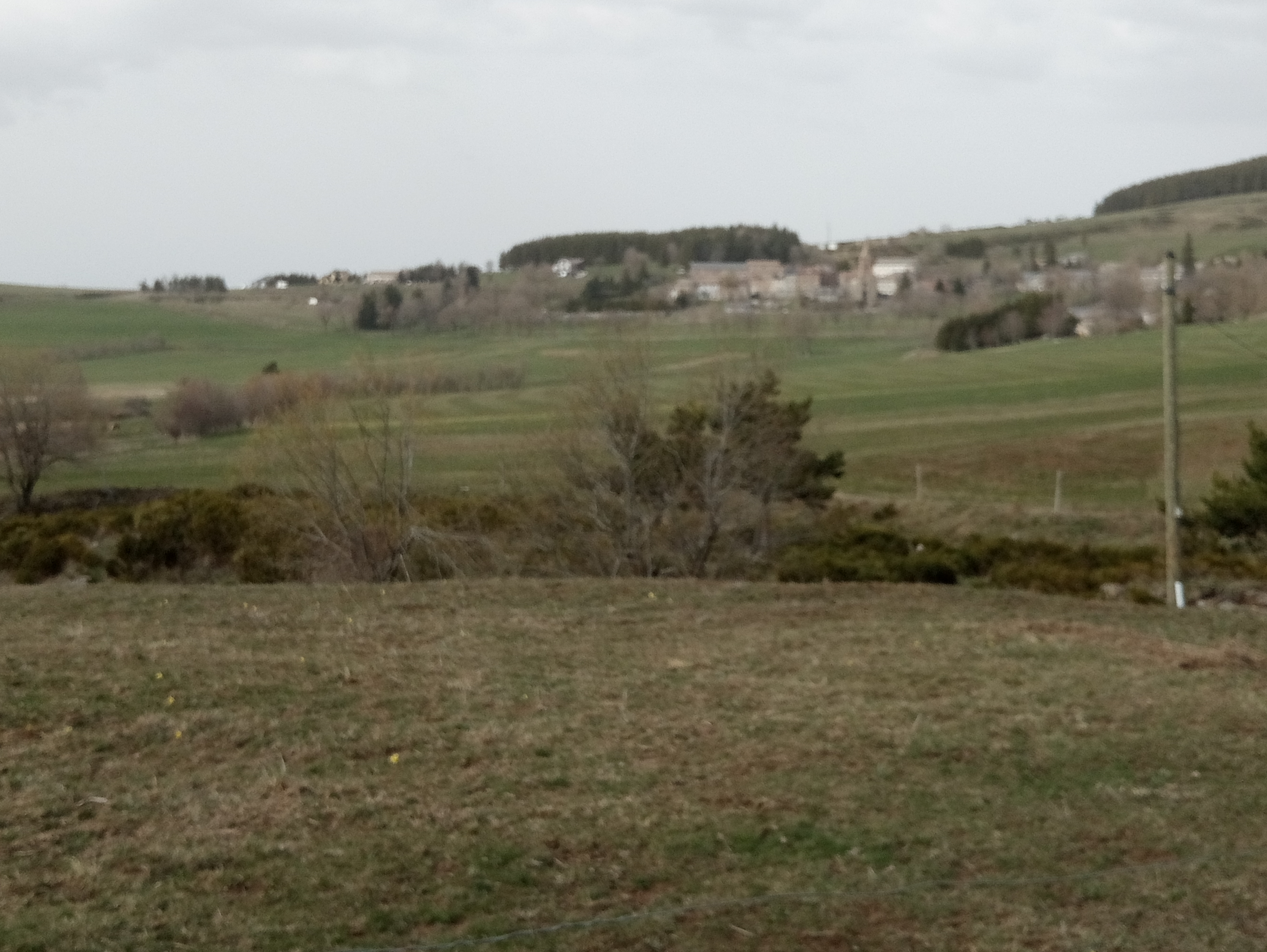 Photo n° 2 de l'avis de GIRAUD.R fait le 24/04/2019 à 16:10