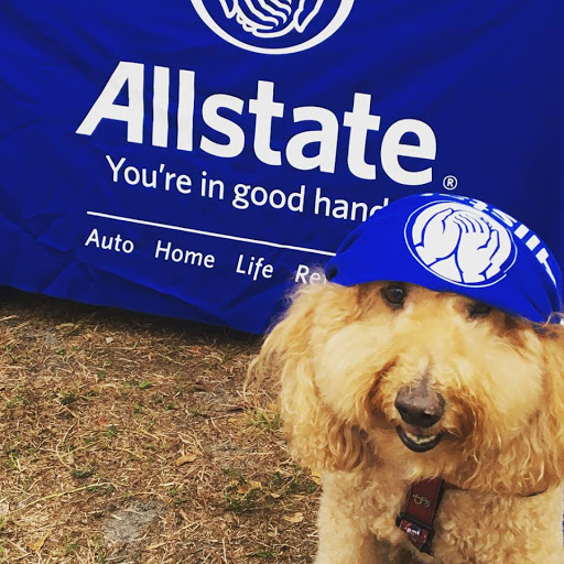 Insurance Agency «Allstate: Lisa Faina», reviews and photos