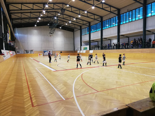 Futsal-Torwartschulen Vienna