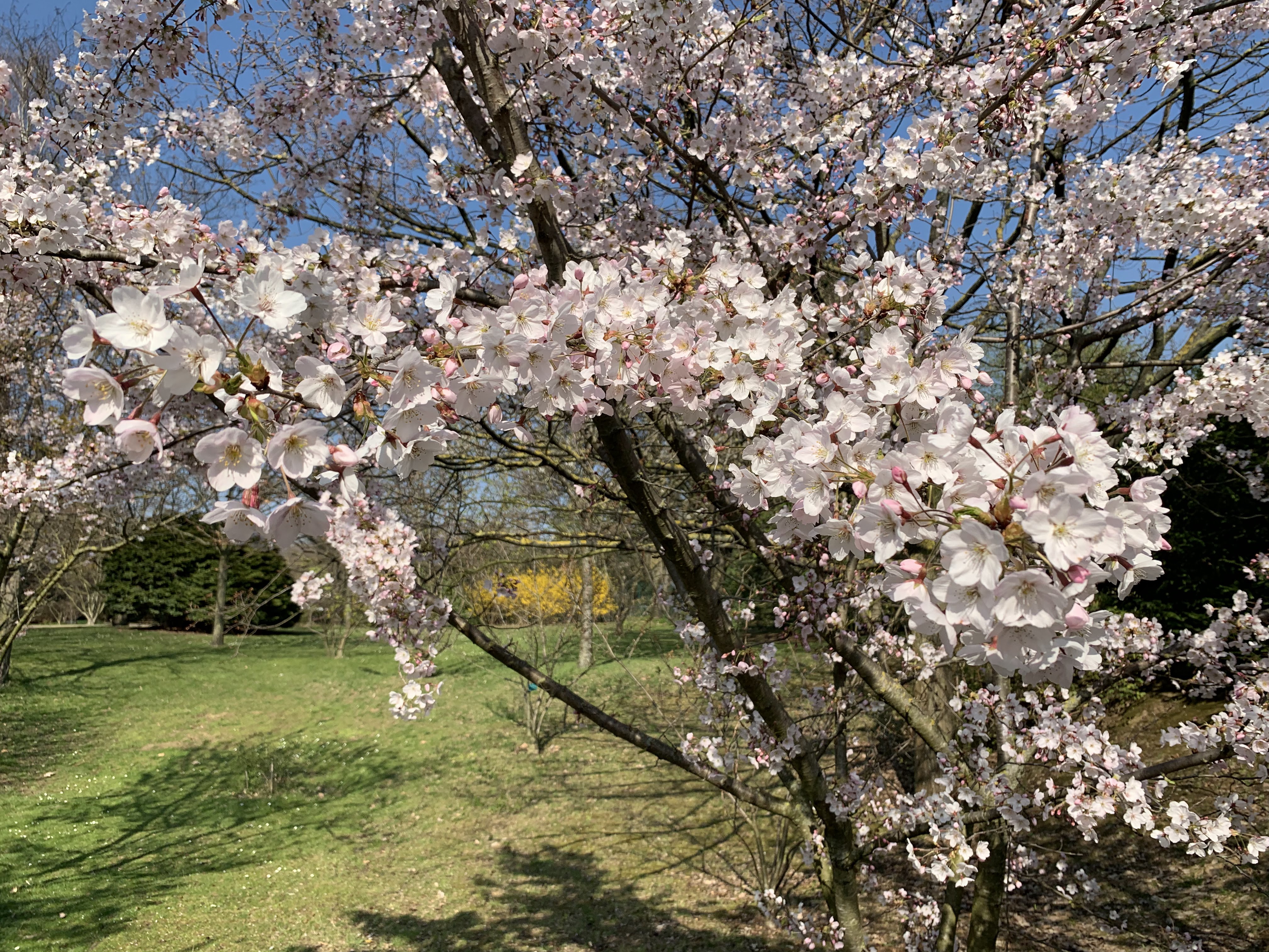 Photo n° 9 de l'avis de Huynh.h fait le 22/03/2019 à 19:10