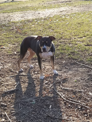 Park «Irving Park», reviews and photos, 707 NE Fremont St, Portland, OR 97212, USA