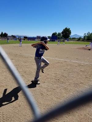 Medford National Little League - photo 7