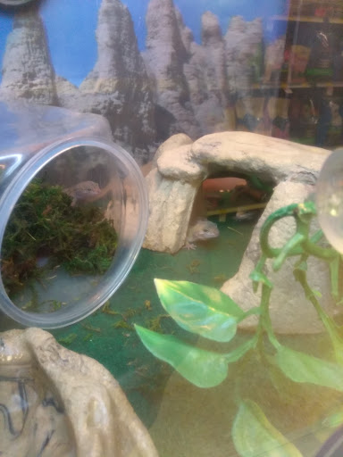 Pet Supply Store «PetSmart», reviews and photos, 10164 Colerain Ave, Cincinnati, OH 45251, USA