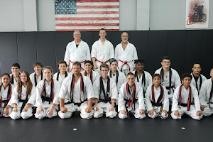 Bushido Karate Academy image