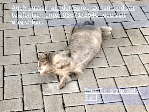 Tierarztpraxis Robert Sohl unter Winhöring, Bayern